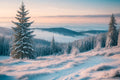 Snow-covered landscape with trees and foggy mountains at sunset.