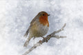 Bird perched on a branch during snowfall
