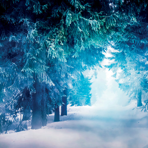 Snowy forest with blue-tinted trees