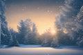 Snowy forest landscape with a sunset or sunrise through the trees