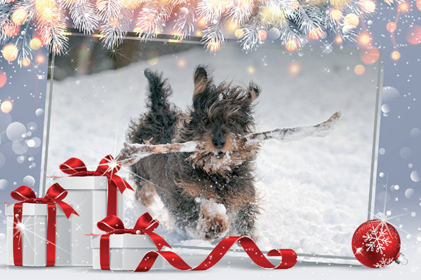 Dog running in the snow with Christmas presents and decorations