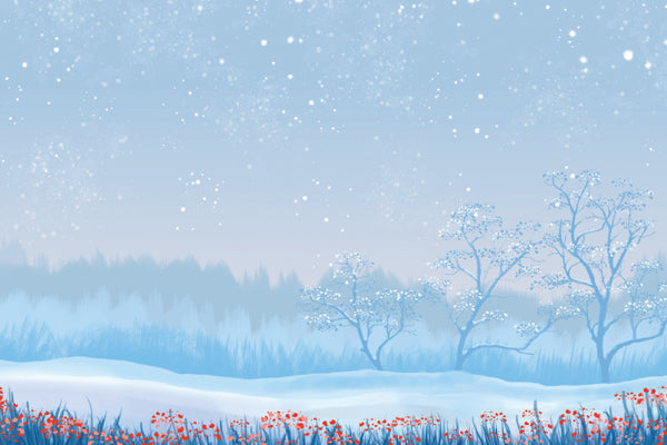 Snow falling over a field covering the grass and fields in snow