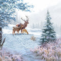 deer-family-cn063