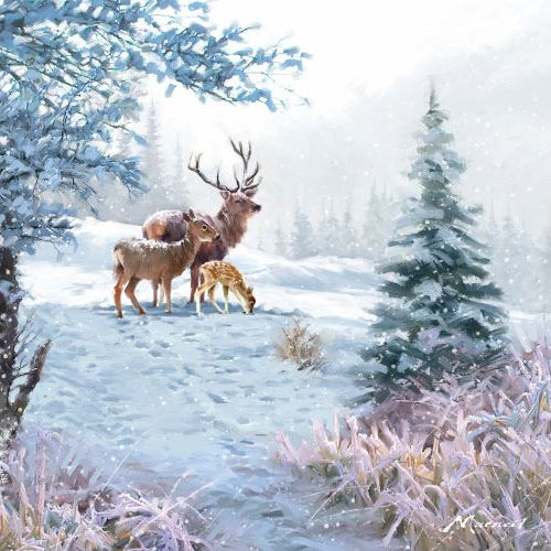 deer-family-cn063