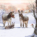 donkeys-in-the-snow-cn064