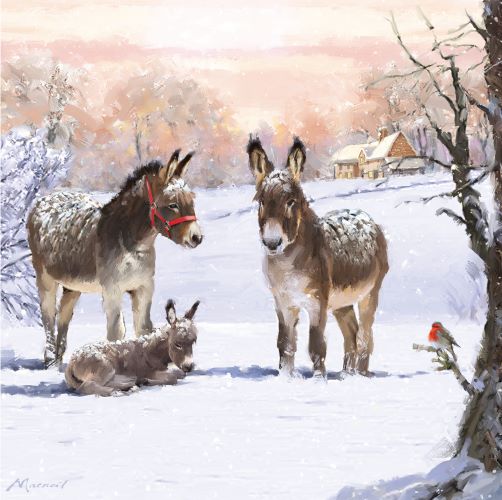 donkeys-in-the-snow-cn064