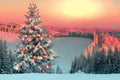 Decorated Christmas tree in a snowy landscape with a pink sunset.
