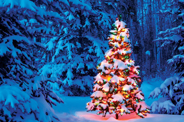 Decorated Christmas tree in a snowy forest