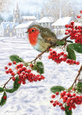 robin-on-berries-cn062