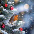 A red breasted robin sitting on the branches of a Christmas tree