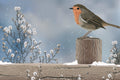 Bird perched on a wooden post with snow-covered plants and a snowy sky