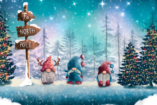 Three festive gnomes in a snowy landscape with Christmas trees and a sign pointing to the North Pole.