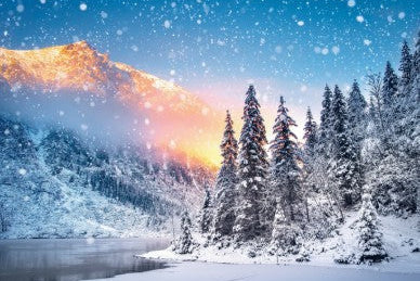 Snowy Forest