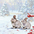 woodland-rabbits-cn061